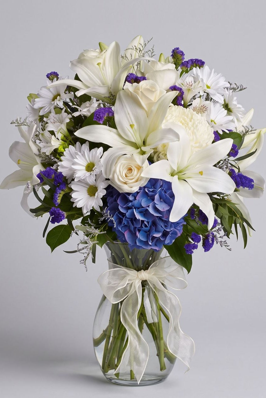 Beautiful in Blue arrangement of blue hydrangea, white lilies, cream roses, white daisies and purple statice in a clear glass vase with an ivory bow