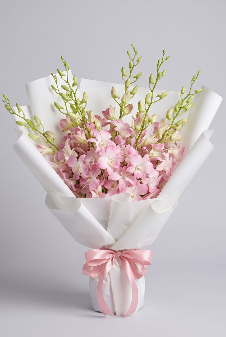 Blush Dendrobium Bouquet of soft pink and white dendrobium orchids with green buds wrapped in white paper with a pink satin ribbon
