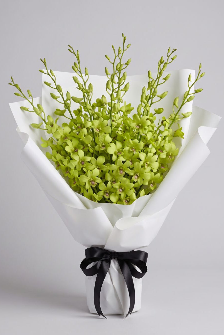 Green Dendrobium Bouquet of lime-green dendrobium orchids with buds wrapped in white paper with a black satin ribbon