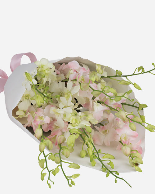 Fresh Blooms Flowers-Light Pink Dendrobium Orchids Bouquet