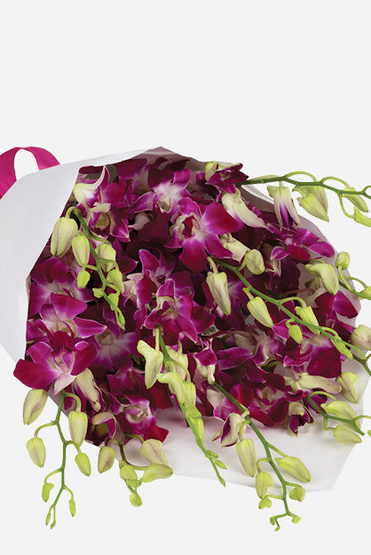 Pink Dendrobium Orchids Bouquet