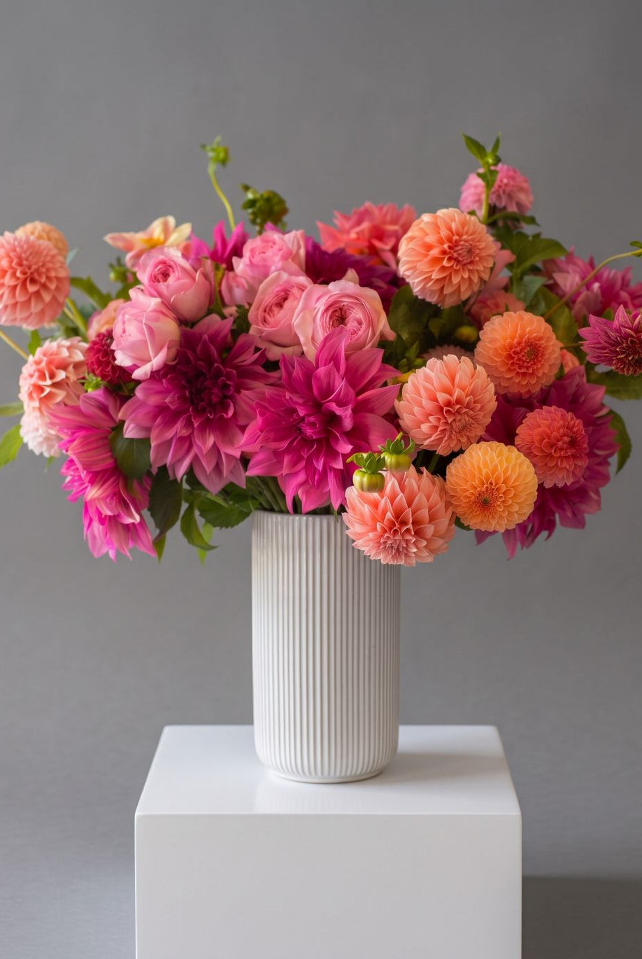 Raspberry Sunset arrangement of magenta, coral, peach and orange dahlias with pink garden roses in a white ribbed ceramic vase