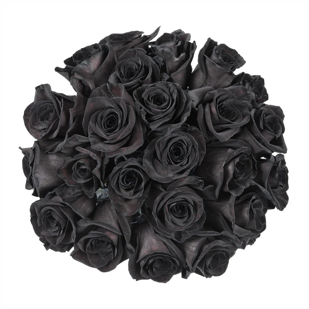Fresh Blooms Flowers-Roses Premium 50cm - Tinted