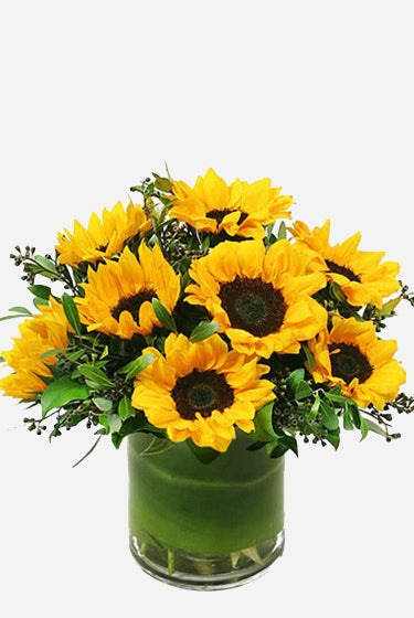 Sunflowers Delight