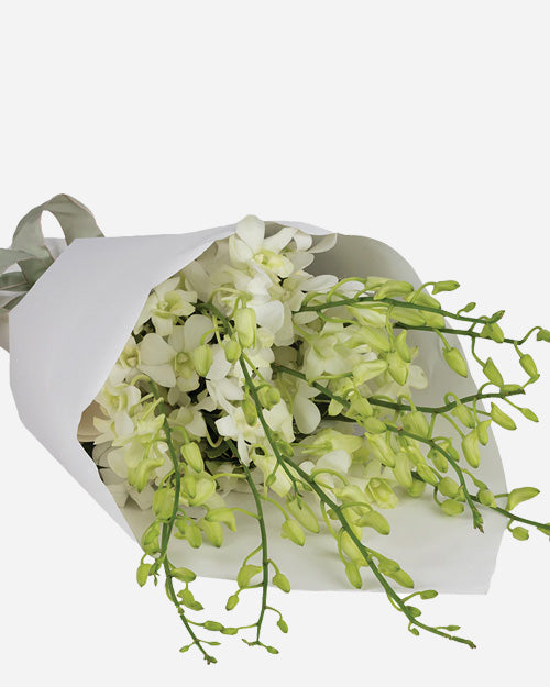 Fresh Blooms Flowers-White Dendrobium Orchids Bouquet