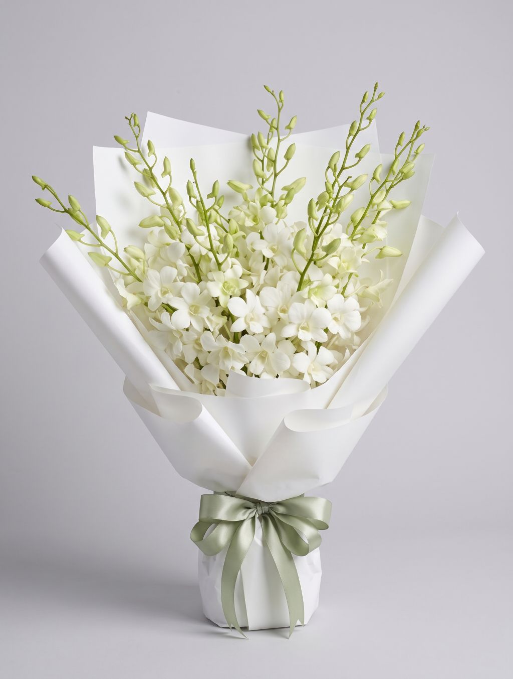 White Dendrobium Bouquet of white dendrobium orchids with green buds wrapped in white paper with a sage green satin ribbon