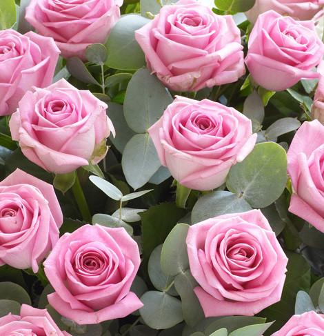 Fresh Blooms Flowers-24 Pink Roses Bouquet