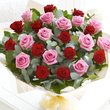 Fresh Blooms Flowers-24 Red & Pink Roses Bouquet