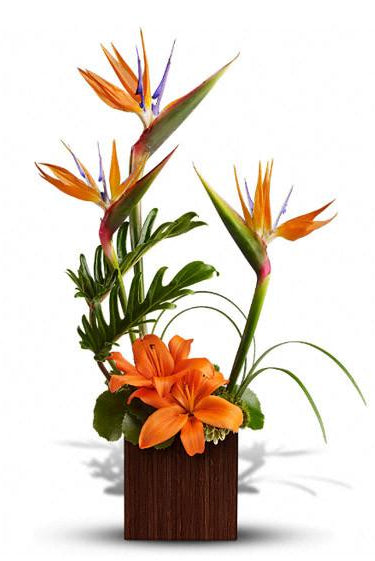 Fresh Blooms Flowers-Bamboo Paradise
