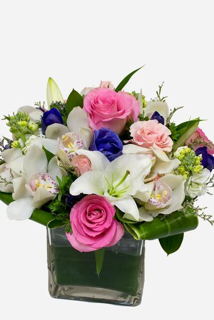 Fresh Blooms Flowers-Beautiful Day
