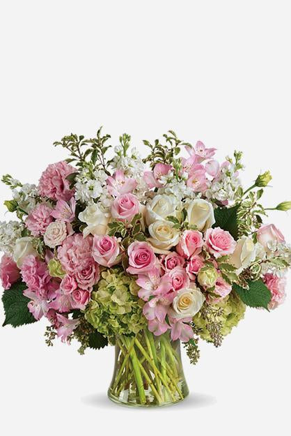 Fresh Blooms Flowers-Beautiful Love