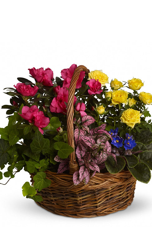Fresh Blooms Flowers-Blooming Garden Basket