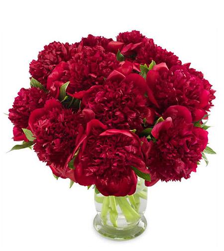 Fresh Blooms Flowers-Burgundy Peony Bouquet