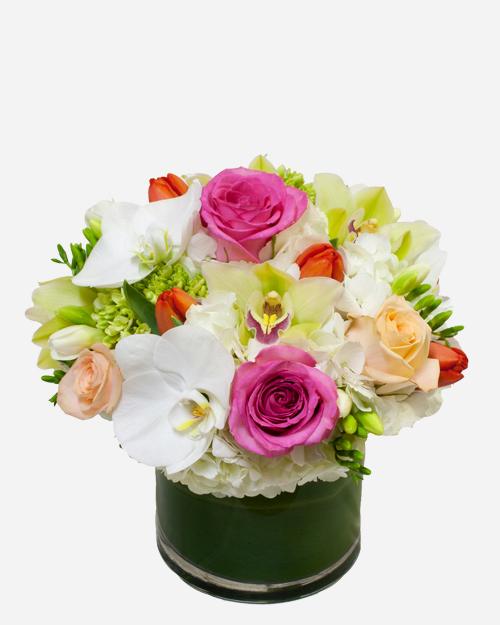 Fresh Blooms Flowers-Burst of Spring
