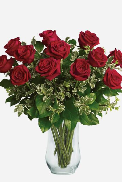 Fresh Blooms Flowers-Classic Dozen Red Roses