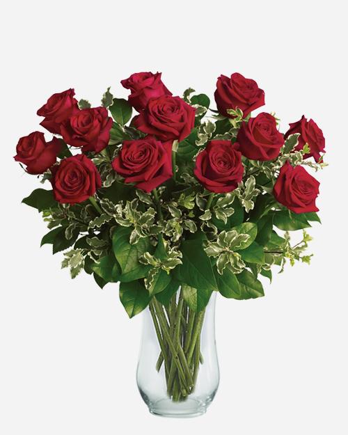 Fresh Blooms Flowers-Classic Dozen Red Roses