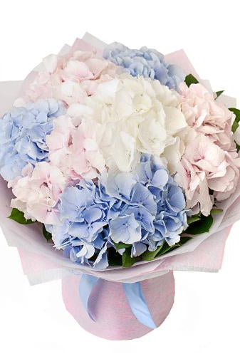 Fresh Blooms Flowers-Cloud of Hydrangeas