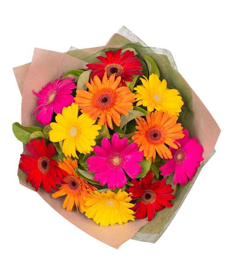 Fresh Blooms Flowers-Colorful Gerbera Bouquet
