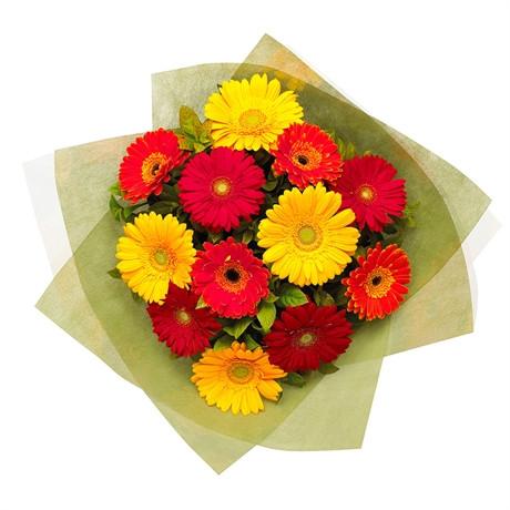Fresh Blooms Flowers-Colorful Gerbera Bouquet