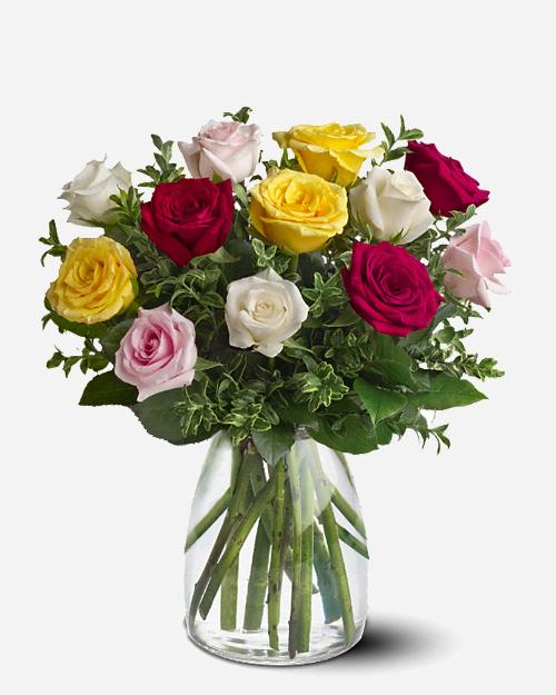 Fresh Blooms Flowers-Dozen Mixed Roses