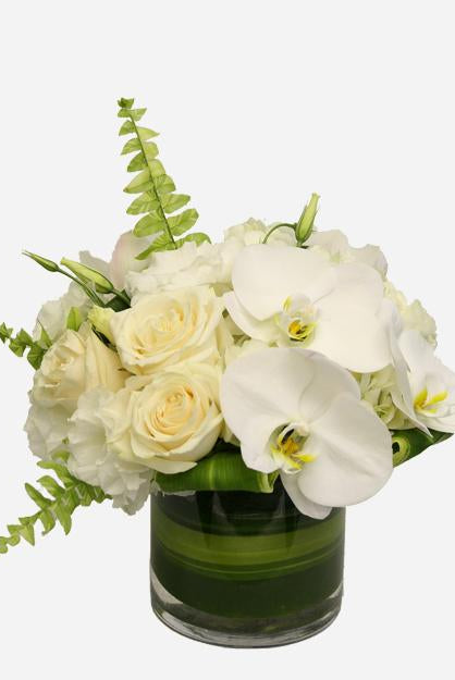 Fresh Blooms Flowers-Elegant Bliss
