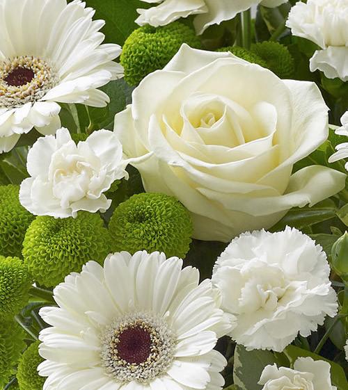 Fresh Blooms Flowers-Elegant Whites & Green Bouquet