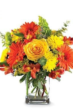 Fresh Blooms Flowers-Fiery Fusion