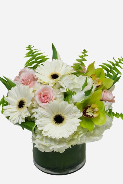 Fresh Blooms Flowers-Fresh Spring
