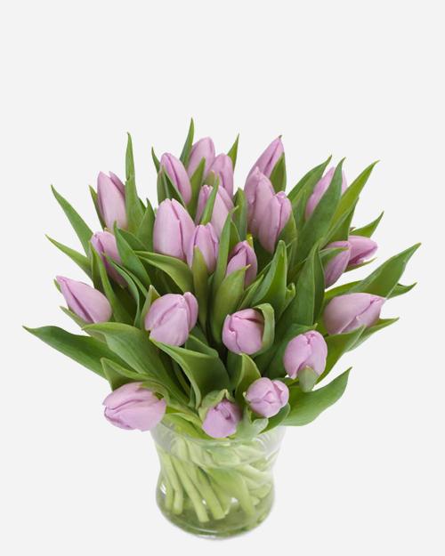 Fresh Blooms Flowers-Lavender Tulips