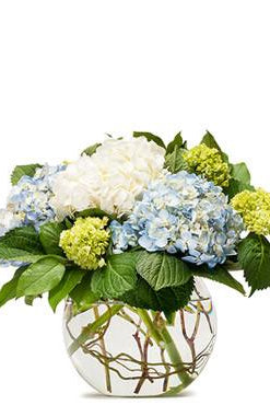 Fresh Blooms Flowers-Mighty Hydrangea