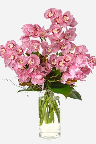 Fresh Blooms Flowers-Orchid Elegance