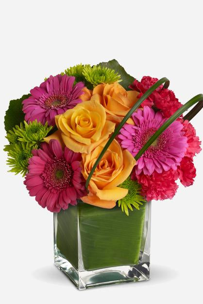 Fresh Blooms Flowers-Party Girl