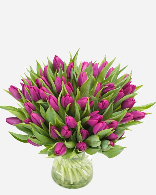 Fresh Blooms Flowers-Passion Purple Tulips