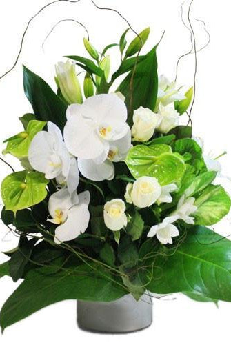 Fresh Blooms Flowers-Peaceful Zen