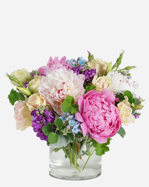 Fresh Blooms Flowers-Peony Beauty