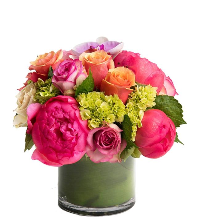 Peony Sunrise Fresh Blooms Same Day Peonies Flowers Delivery Langley