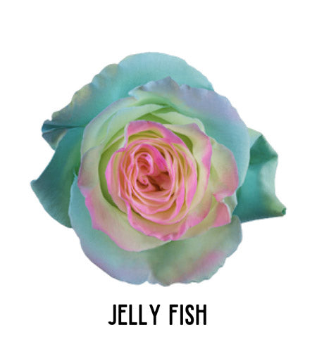 Fresh Blooms Flowers-High Quality Tinted Roses