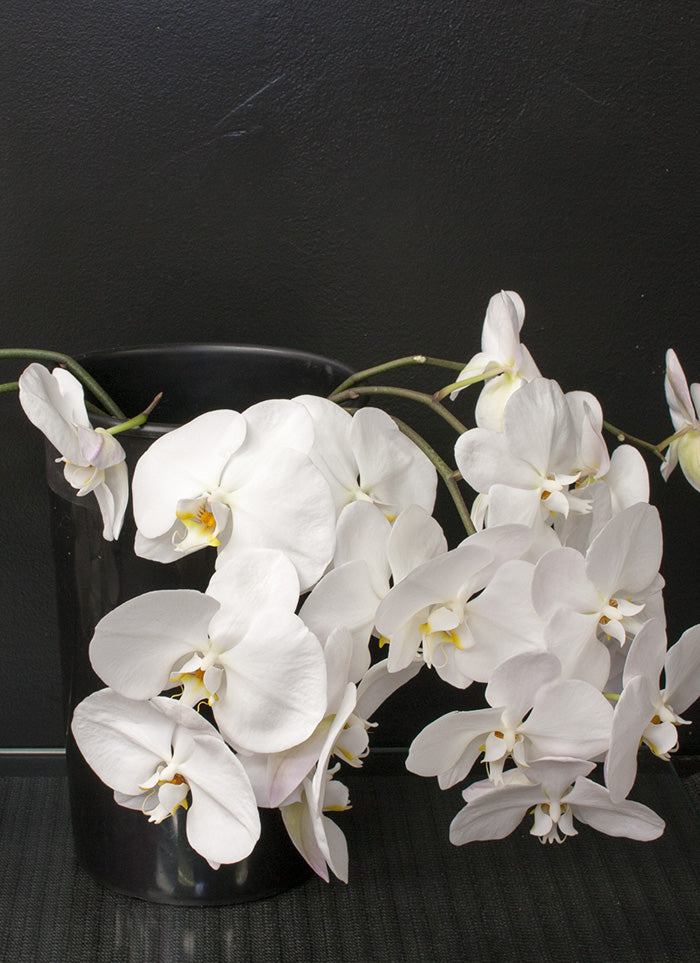 Fresh Blooms Flowers-Sample one