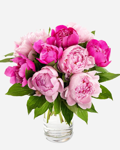 Fresh Blooms Flowers-Seasonal Peonies