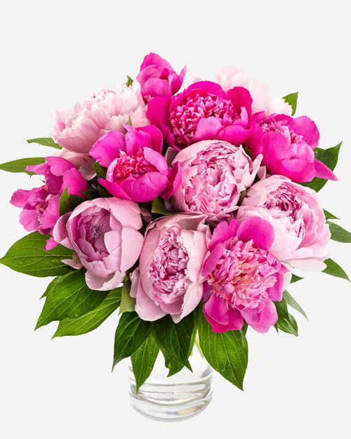Fresh Blooms Flowers-Seasonal Peonies