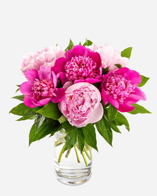 Fresh Blooms Flowers-Seasonal Peonies