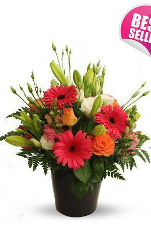 Fresh Blooms Flowers-Seasonal Delight