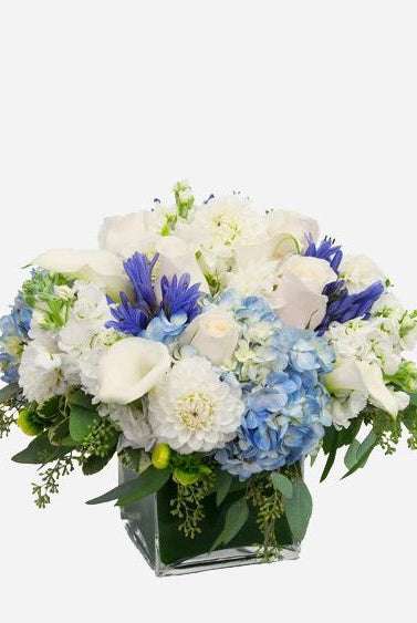 Fresh Blooms Flowers-Seasonal White & Blue Cube