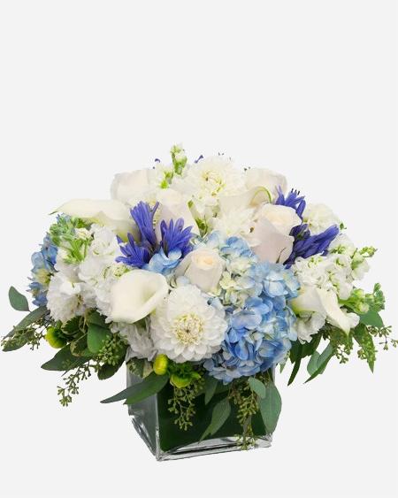 Fresh Blooms Flowers-Seasonal White & Blue Cube