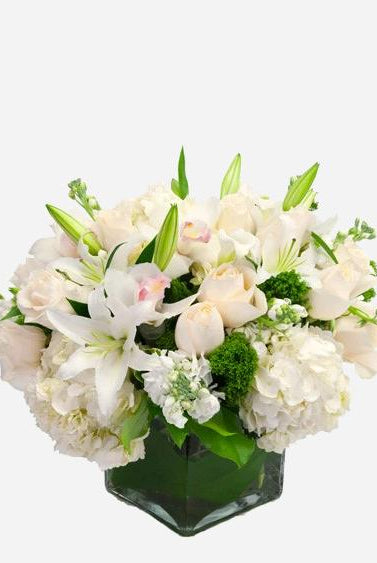Fresh Blooms Flowers-Seasonal White & Green Cube