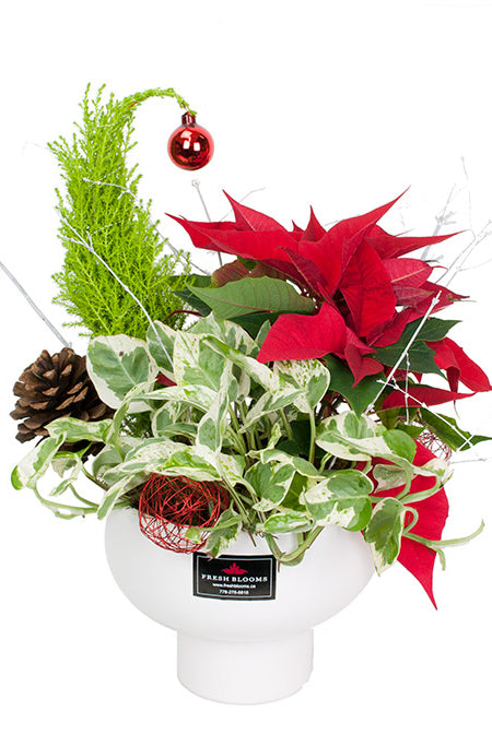 Fresh Blooms Flowers-Small Holiday Planter