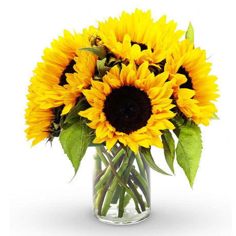 Fresh Blooms Flowers-Sunflowers Bouquet