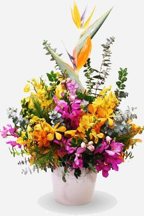 Fresh Blooms Flowers-Tropical Splendor
