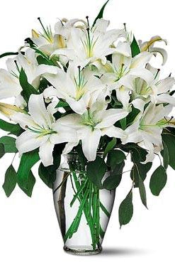 Fresh Blooms Flowers-White Lilies Vased