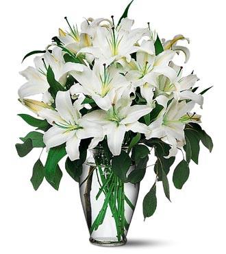 Fresh Blooms Flowers-White Lilies Vased